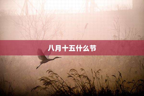 八月十五什么节