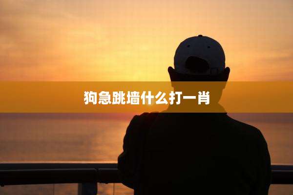 狗急跳墙什么打一肖