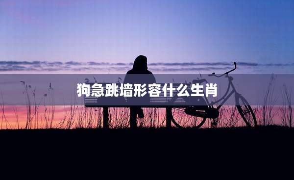 狗急跳墙形容什么生肖