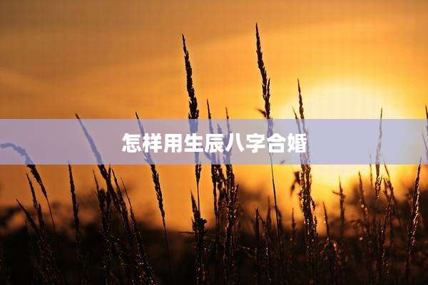 怎样用生辰八字合婚