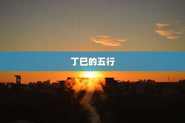 丁巳的五行