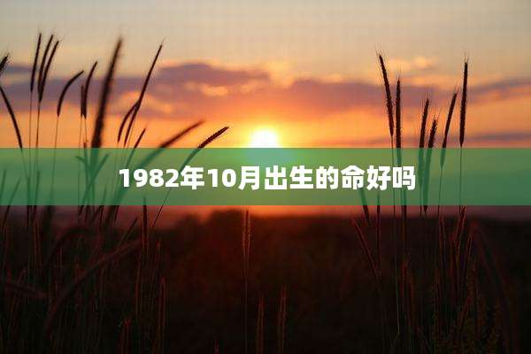 1982年10月出生的命好吗