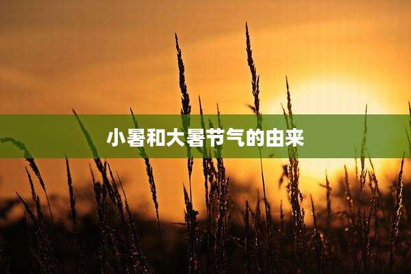 小暑和大暑节气的由来