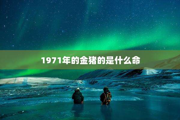 1971年的金猪的是什么命
