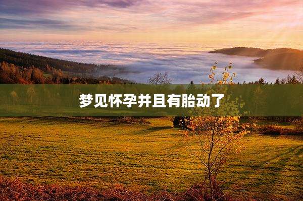 梦见怀孕并且有胎动了