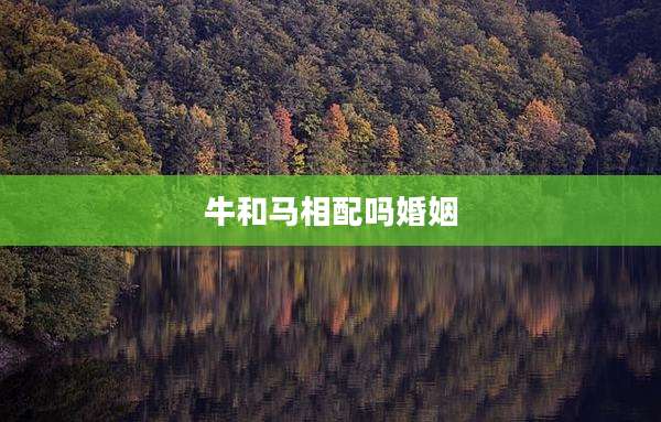 牛和马相配吗婚姻