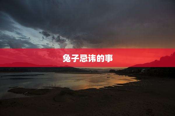 兔子忌讳的事