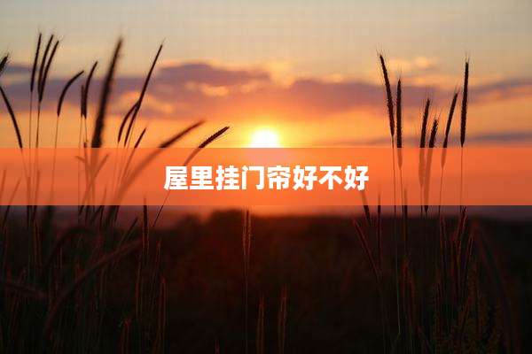 屋里挂门帘好不好