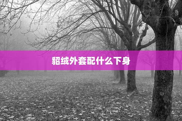 貂绒外套配什么下身