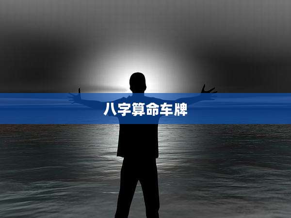 八字算命车牌