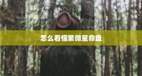 怎么看懂紫微星命盘