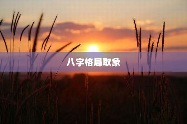 八字格局取象
