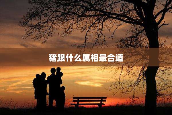 猪跟什么属相最合适