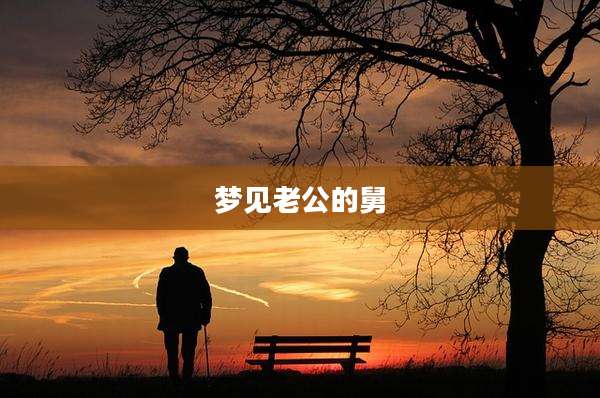 梦见老公的舅