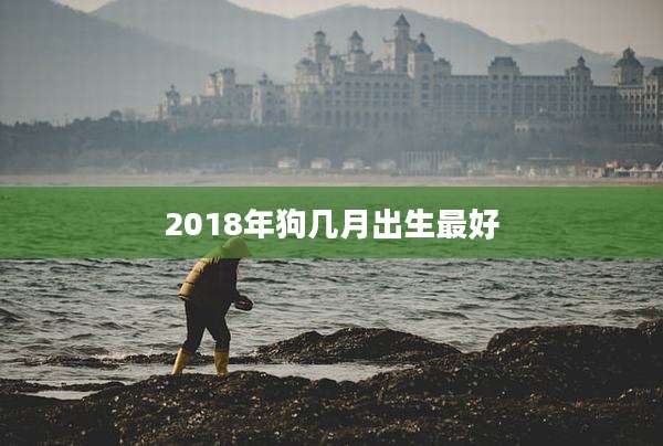 2018年狗几月出生最好