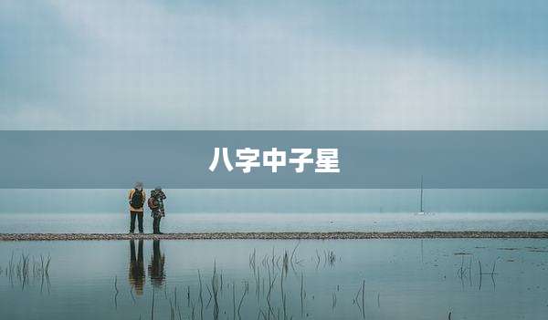 八字中子星