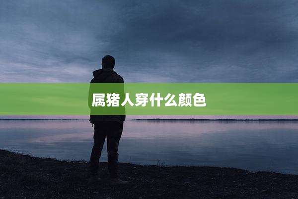 属猪人穿什么颜色