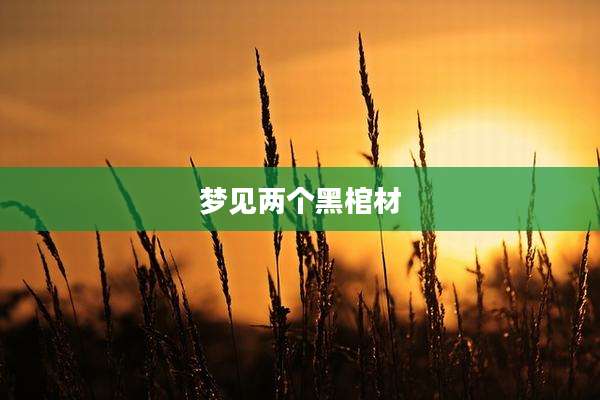 梦见两个黑棺材