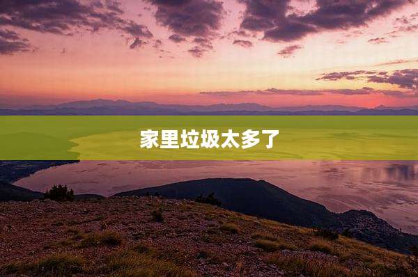 家里垃圾太多了