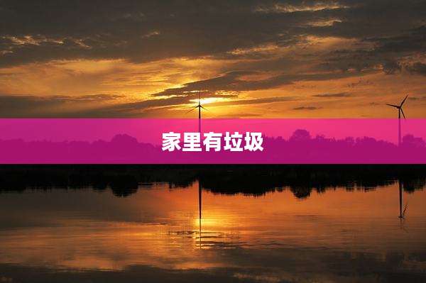 家里有垃圾