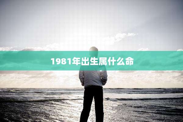 1981年出生属什么命