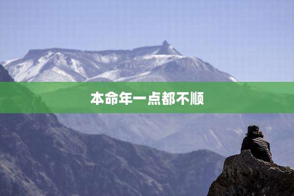 本命年一点都不顺