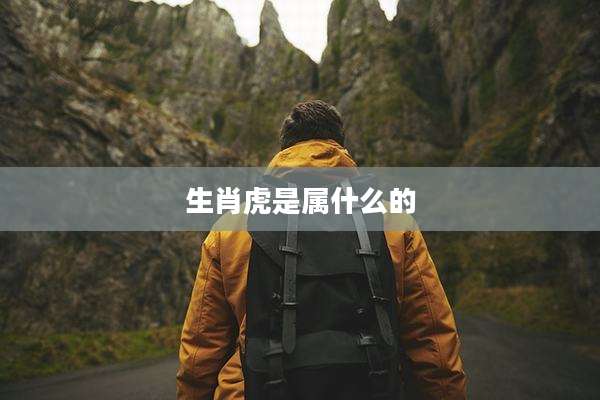 生肖虎是属什么的