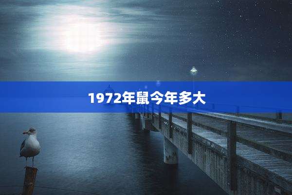 1972年鼠今年多大