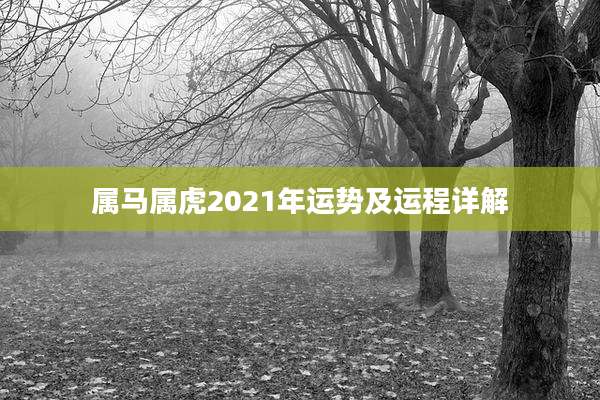 属马属虎2021年运势及运程详解