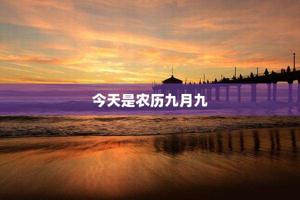 今天是农历九月九