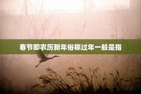 春节即农历新年俗称过年一般是指