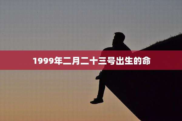1999年二月二十三号出生的命