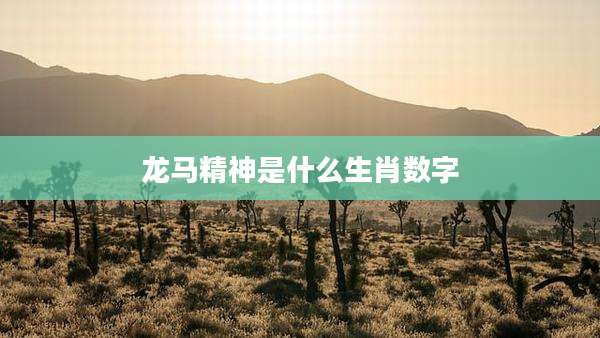 龙马精神是什么生肖数字