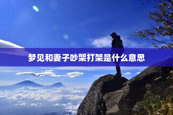 梦见和妻子吵架打架是什么意思