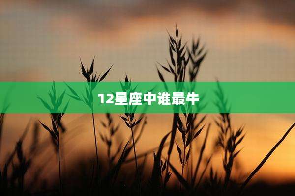 12星座中谁最牛