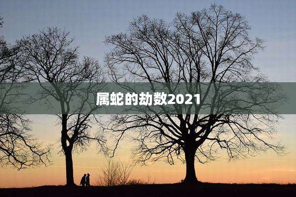 属蛇的劫数2021
