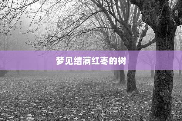 梦见结满红枣的树