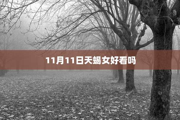 11月11日天蝎女好看吗