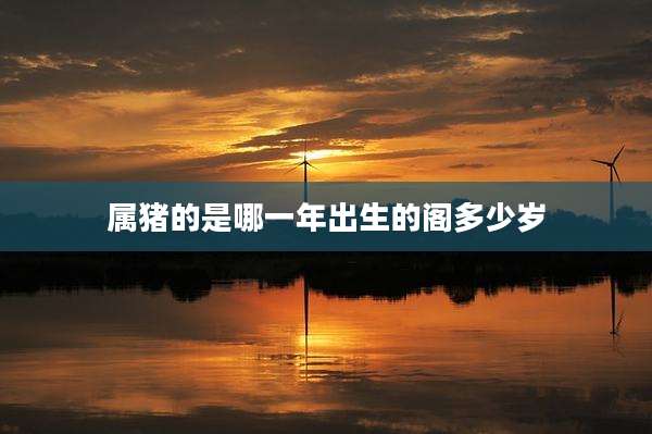 属猪的是哪一年出生的阁多少岁