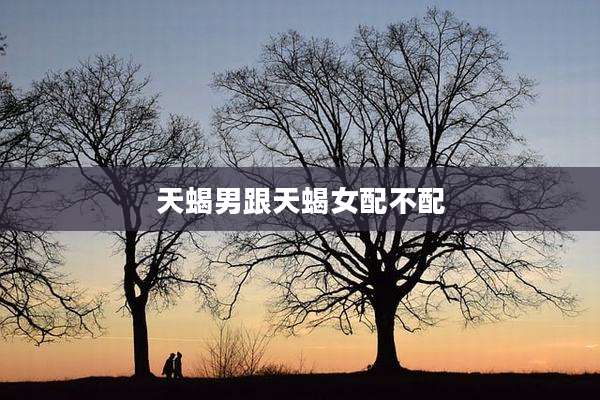天蝎男跟天蝎女配不配
