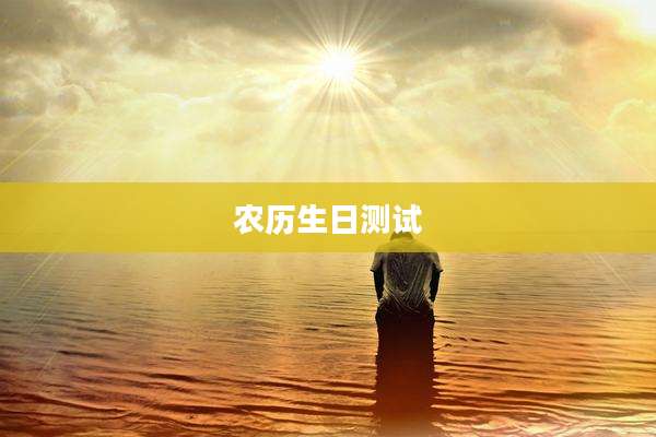 农历生日测试