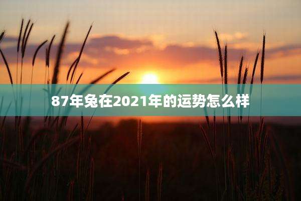 87年兔在2021年的运势怎么样