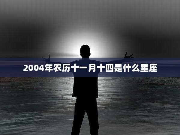 2004年农历十一月十四是什么星座