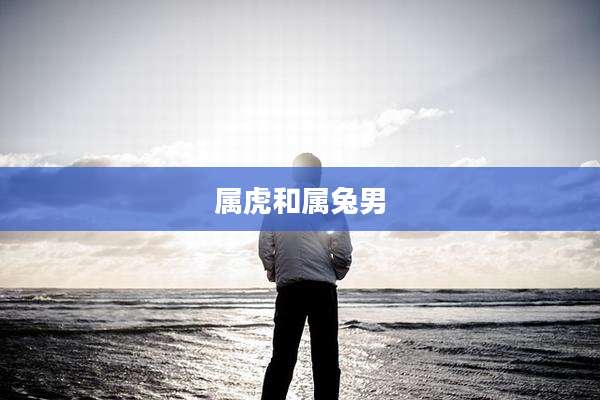 属虎和属兔男