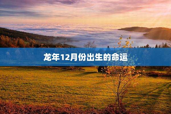 龙年12月份出生的命运