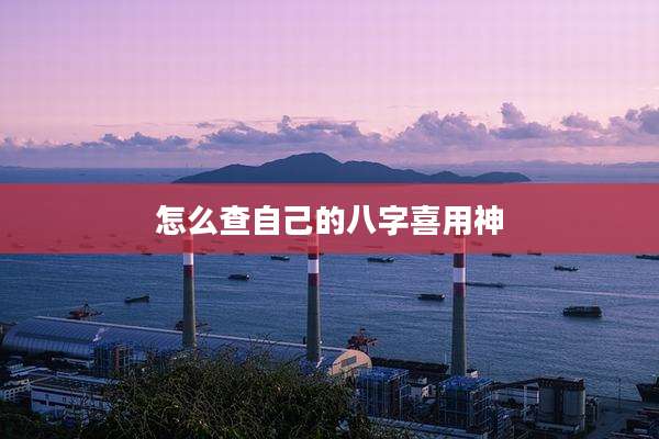 怎么查自己的八字喜用神