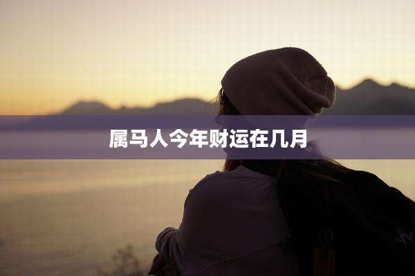 属马人今年财运在几月