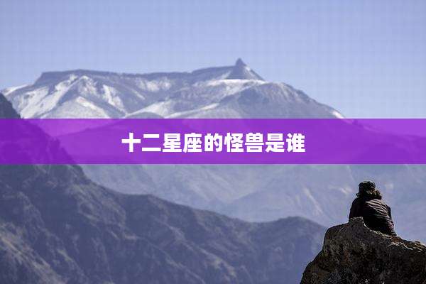 十二星座的怪兽是谁