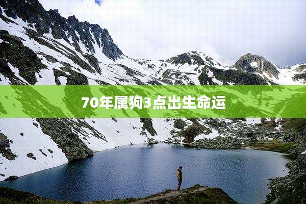 70年属狗3点出生命运