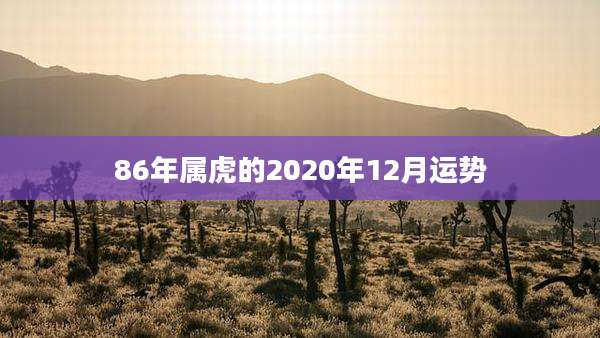 86年属虎的2020年12月运势